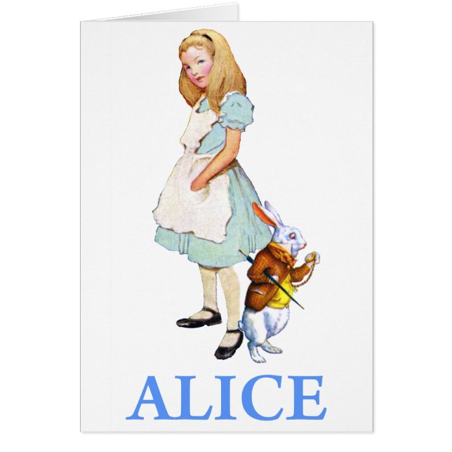 AFSCHRIJVING IN WONDERLAND (Voorkant)