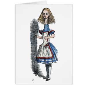 AFSCHRIJVING IN WONDERLAND
