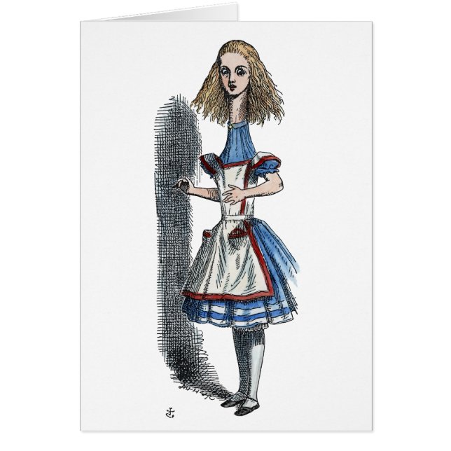 AFSCHRIJVING IN WONDERLAND (Voorkant)