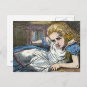 AFSCHRIJVING IN WONDERLAND BRIEFKAART (Voorkant / Achterkant)