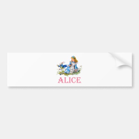 AFSCHRIJVING IN WONDERLAND BUMPERSTICKER (Voorkant)