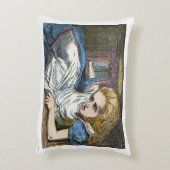 AFSCHRIJVING IN WONDERLAND DECORATIEF KUSSEN (Achterkant (Verticaal))