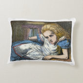 AFSCHRIJVING IN WONDERLAND DECORATIEF KUSSEN (Achterkant)