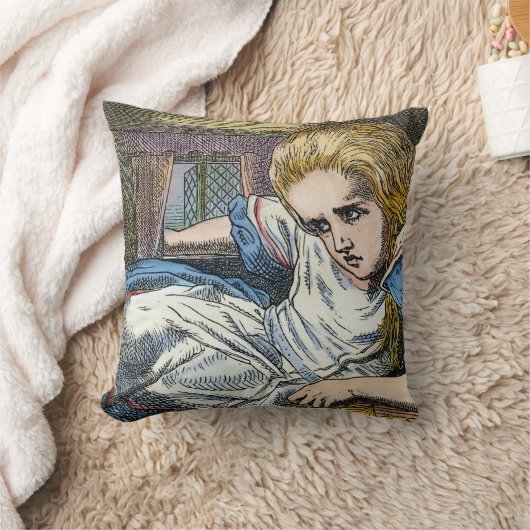 AFSCHRIJVING IN WONDERLAND KUSSEN (Deken)