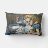 AFSCHRIJVING IN WONDERLAND KUSSEN (Achterkant)