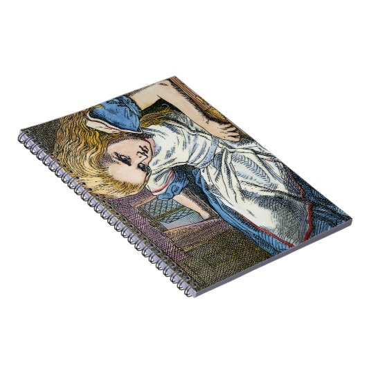 AFSCHRIJVING IN WONDERLAND NOTITIEBOEK (Rechterzijde)