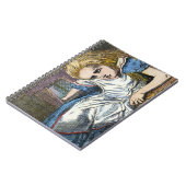 AFSCHRIJVING IN WONDERLAND NOTITIEBOEK (Linkerzijde)