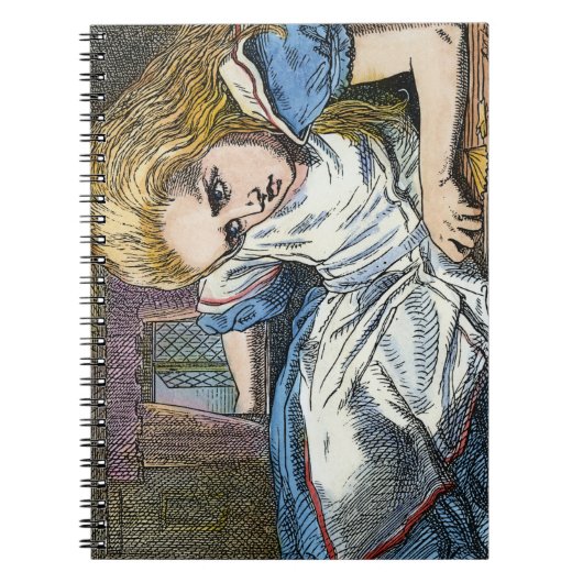 AFSCHRIJVING IN WONDERLAND NOTITIEBOEK (Voorkant)