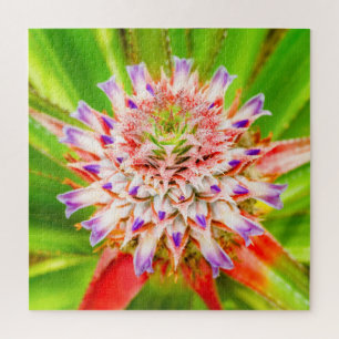 Afsluitbloempitfoto Legpuzzel