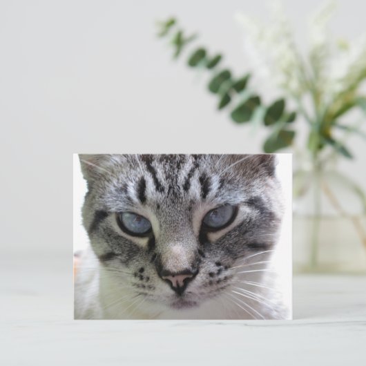 Afsluiten Briefkaart (Staand voorkant)