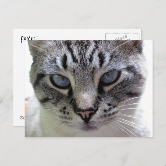 Afsluiten Briefkaart (Voorkant / Achterkant)