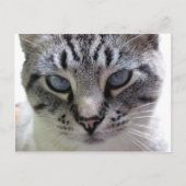 Afsluiten Briefkaart (Voorkant)