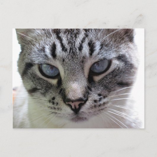 Afsluiten Briefkaart (Voorkant)