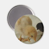 Afsluiten Magneet (Voorkant / Achterkant)