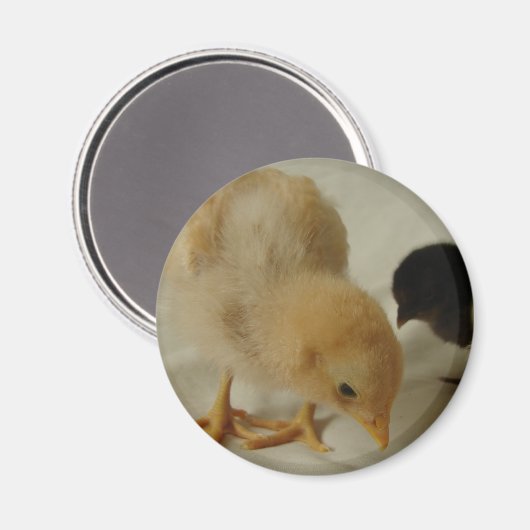 Afsluiten Magneet (Voorkant / Achterkant)