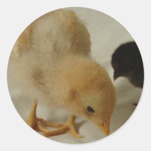 Afsluiten Ronde Sticker