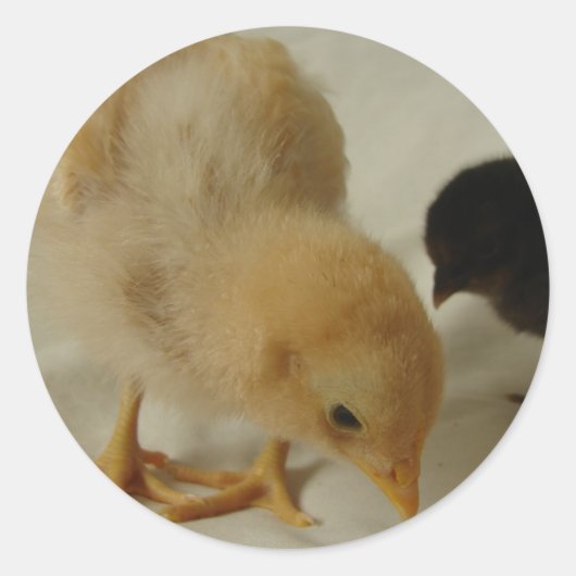 Afsluiten Ronde Sticker (Voorkant)