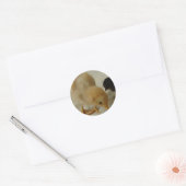 Afsluiten Ronde Sticker (Envelop)