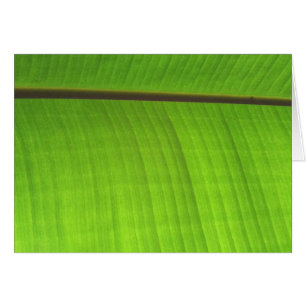 Afsluiting Banana Leaf