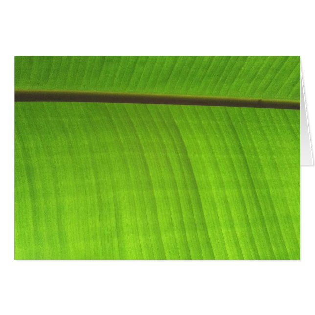 Afsluiting Banana Leaf (Voorkant Horizontaal)