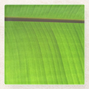 Afsluiting Banana Leaf Glazen Onderzetter