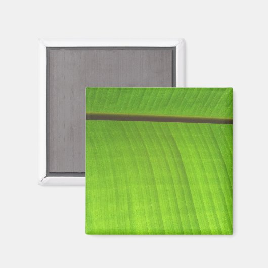 Afsluiting Banana Leaf Magneet (Voorkant / Achterkant)
