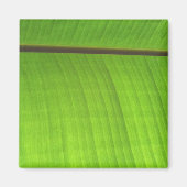 Afsluiting Banana Leaf Magneet (Voorkant)