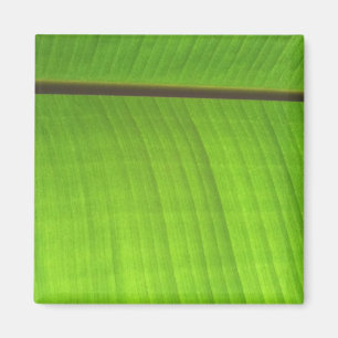 Afsluiting Banana Leaf Magneet