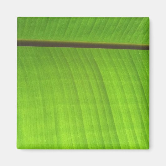 Afsluiting Banana Leaf Magneet (Voorkant)