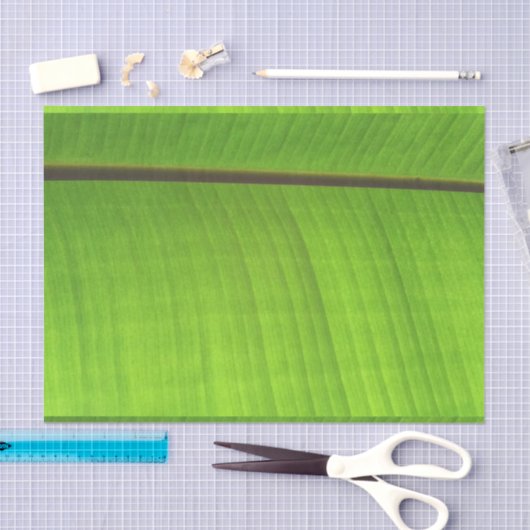 Afsluiting Banana Leaf Tissuepapier (Craft)