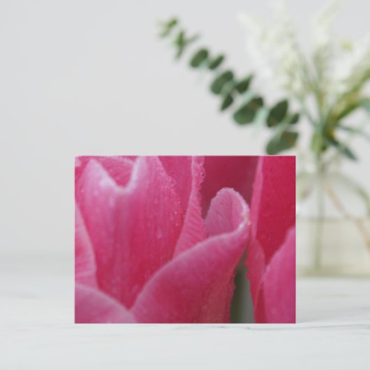 Afsluiting Foto van roze Tulpen op kaarten (Staand voorkant)