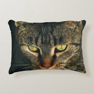 AFSLUITING FOTOGRAFIE VAN GRAY TABBY CAT ACCENT KUSSEN