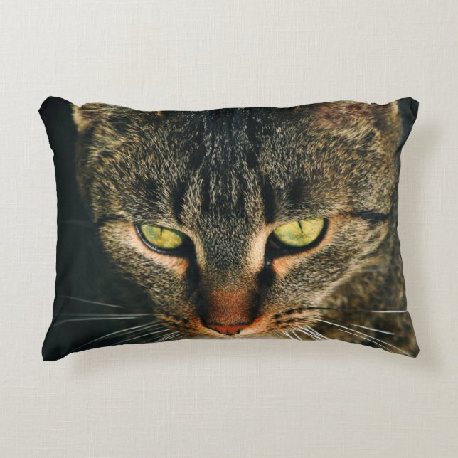 AFSLUITING FOTOGRAFIE VAN GRAY TABBY CAT ACCENT KUSSEN (Voorkant)