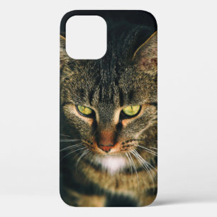 AFSLUITING FOTOGRAFIE VAN GRAY TABBY CAT Case-Mate iPhone CASE