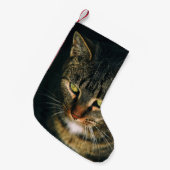 AFSLUITING FOTOGRAFIE VAN GRAY TABBY CAT KLEINE KERSTSOK (Voorkant (Hangend))