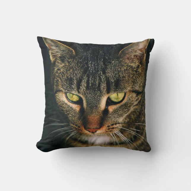 AFSLUITING FOTOGRAFIE VAN GRAY TABBY CAT KUSSEN (Voorkant)