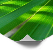 Afsluiting palmblad poster (Hoek)