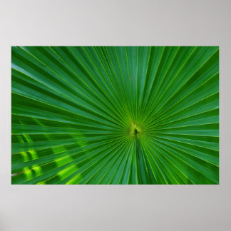 Afsluiting palmblad poster