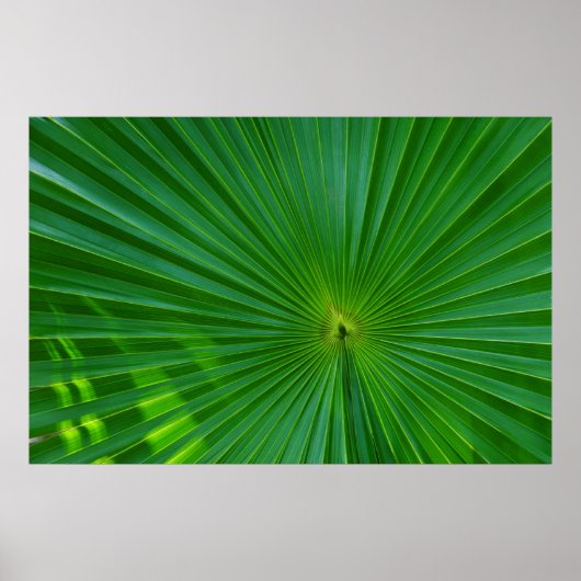 Afsluiting palmblad poster (Voorkant)