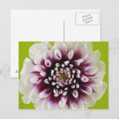 Afsluiting van een bloem 2 briefkaart (Voorkant / Achterkant)