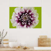 Afsluiting van een bloem poster (Keuken)
