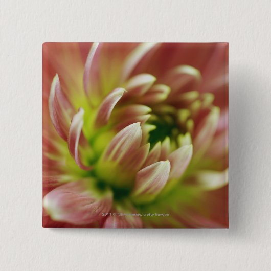 Afsluiting van een bloem vierkante button 5,1 cm (Voorkant)