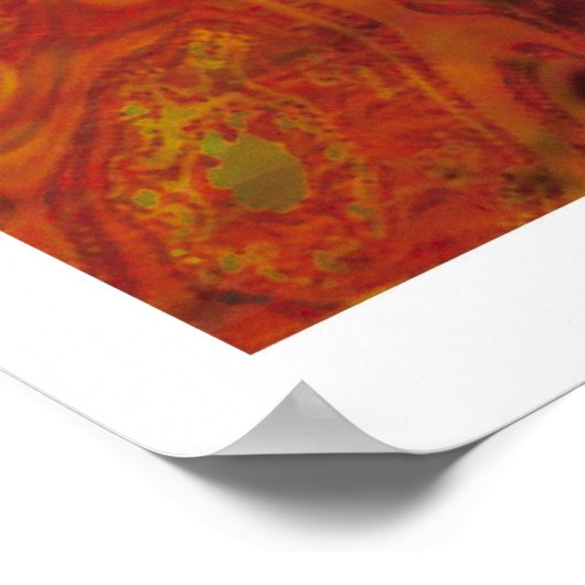 Afsluitingen Poster (Hoek)