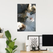 Afspeelbaar Kat Poster (Thuiskantoor)