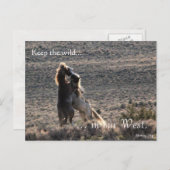 Afspeelbaar, vooraf gericht: Sec of the Interior Briefkaart (Voorkant / Achterkant)