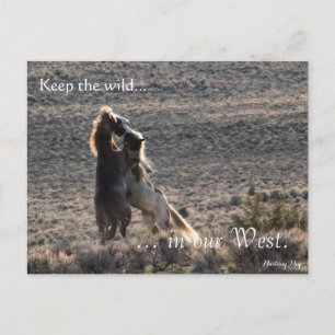 Afspeelbaar, vooraf gericht: Sec of the Interior Briefkaart