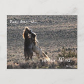 Afspeelbaar, vooraf gericht: Sec of the Interior Briefkaart (Voorkant)