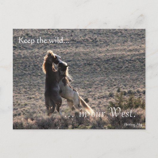 Afspeelbaar, vooraf gericht: Sec of the Interior Briefkaart (Voorkant)