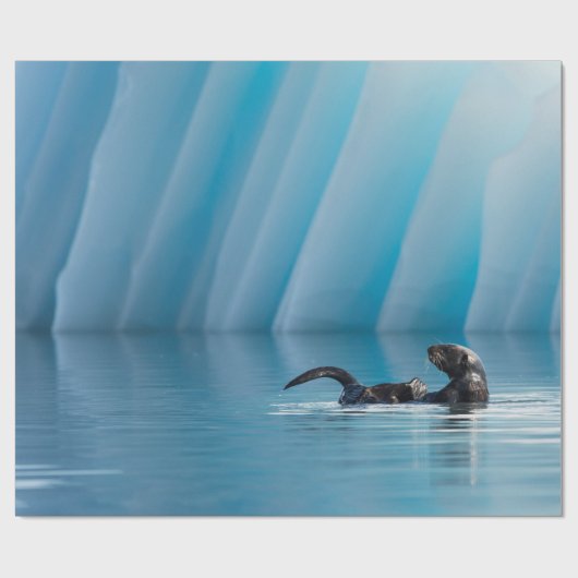 Afspeelbaar Zee Otter Cadeaupapier (Vlak)