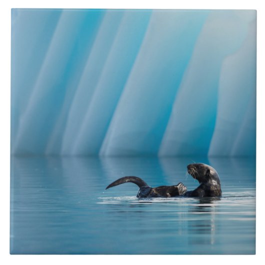 Afspeelbaar Zee Otter Tegeltje (Voorkant)